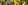 Vlaamse Onafhankelijkheid